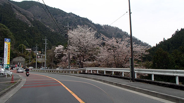 国道４１１号線